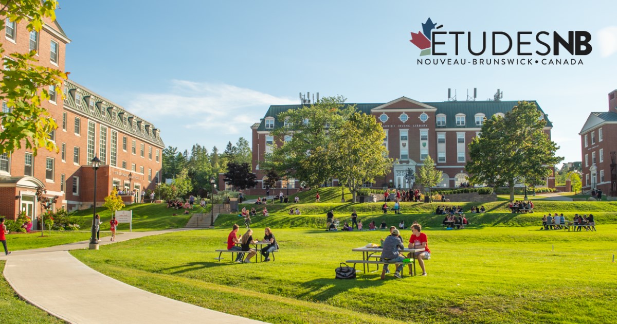 Accueil ÉtudesNB Une destination de choix pour votre avenir